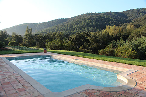 Pool with Mountain Backdrop 