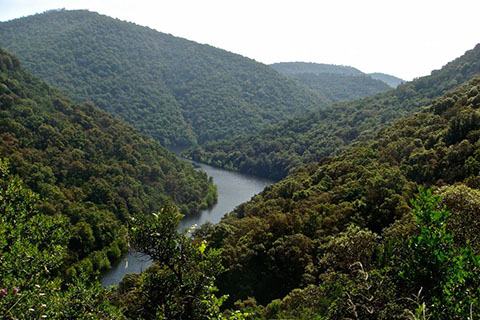 Nearby River through Mountains